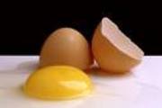 organic eggs.jpg