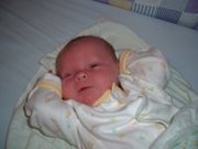 Picture 077.jpg