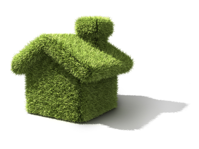 grass house