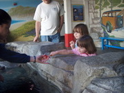 april 2009 san diego cal 186.JPG