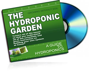 Home Hydroponic Garden