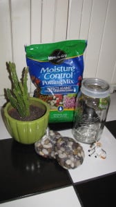 Everything you need to doctor up your cactus re-potting!